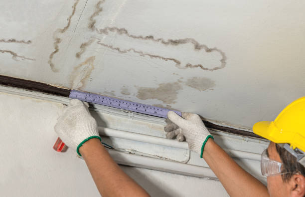 Reliable Water Damage contractor in Bethel, CT by Water Damage Irwin